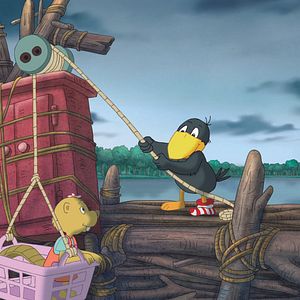 Foto Cuervito calcetín: La gran carrera