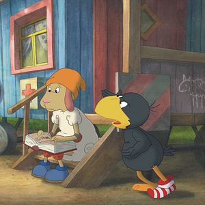 Foto Cuervito calcetín: La gran carrera