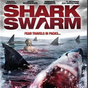 Foto Alerta tiburones