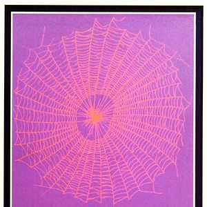 Foto La estrategia de la araña