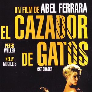 Foto El cazador de gatos