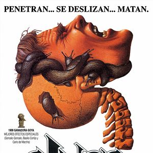 Foto Slugs, muerte viscosa