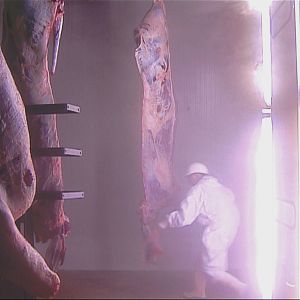 Foto Entrée du personnel