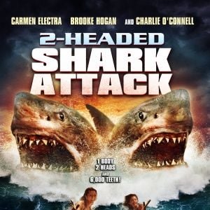 Foto El ataque del tiburón de dos cabezas