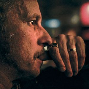 Foto Les Rayures du zèbre