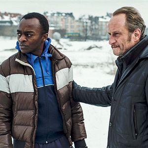 Foto Les Rayures du zèbre