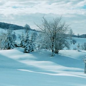 Foto Una amistad inolvidable