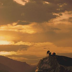 Foto Minúsculos: El valle de las hormigas perdidas