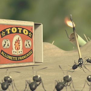 Foto Minúsculos: El valle de las hormigas perdidas