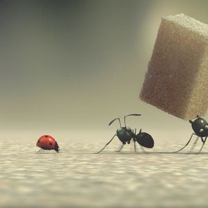 Foto Minúsculos: El valle de las hormigas perdidas