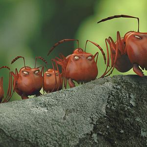 Foto Minúsculos: El valle de las hormigas perdidas