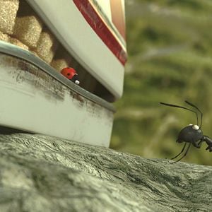 Foto Minúsculos: El valle de las hormigas perdidas