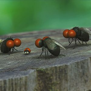 Foto Minúsculos: El valle de las hormigas perdidas