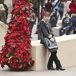 Foto Renee Felice Smith