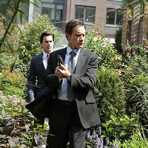 Foto Ladrón de guante blanco