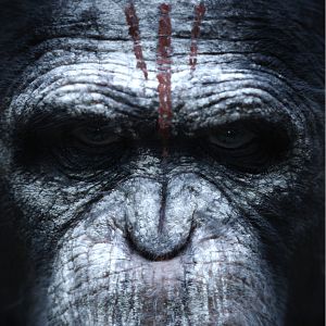 Foto El amanecer del planeta de los simios