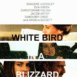 Foto White Bird in a Blizzard