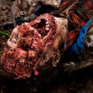 Foto Territorio Grizzly