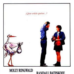 Foto La que hemos armado