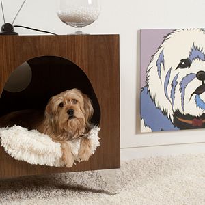 Foto Los amos de la noticia