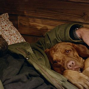 Foto Gerhard Liebmann