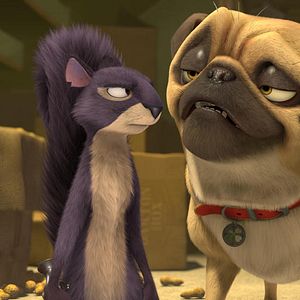 Foto Operación cacahuete