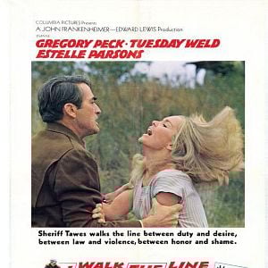 Foto Yo vigilo el camino