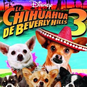 Foto Un chihuahua en Beverly Hills 3: ¡Viva La Fiesta!