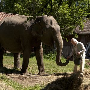 Foto El abuelo que saltó por la ventana y se largó