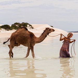 Foto El viaje de tu vida