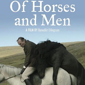 Foto De caballos y hombres