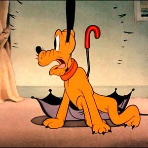 Foto ¡Échate a reír!