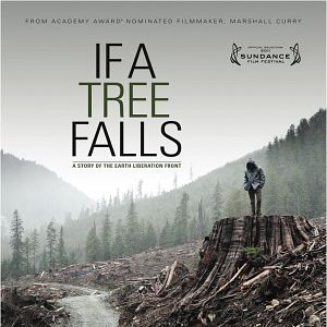 Foto If a Tree Falls