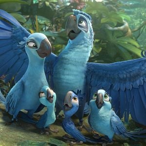 Foto Rio 2