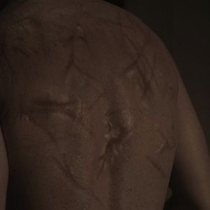 Foto The Bleeding House