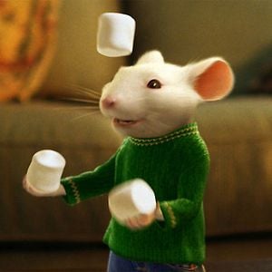 Foto Stuart Little