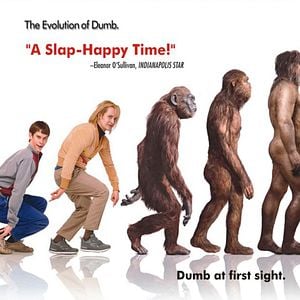 Foto Dos tontos muy tontos. Cuando Harry encontró a Lloyd