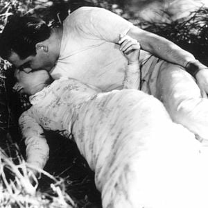 Foto Una partida de campo