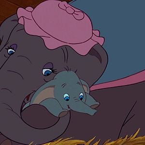 Foto Dumbo