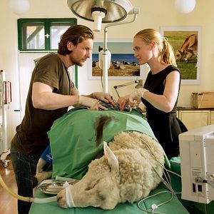 Foto Bert Tischendorf