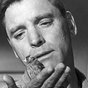 Foto El hombre de Alcatraz