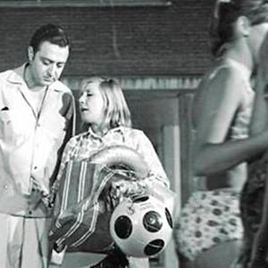 Foto 40 grados a la sombra