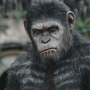 Foto El amanecer del planeta de los simios