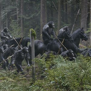 Foto El amanecer del planeta de los simios