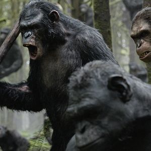 Foto El amanecer del planeta de los simios