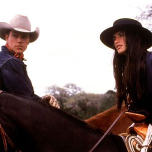 Foto Todos los caballos bellos