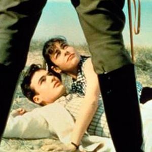 Foto Tranvía a la Malvarrosa