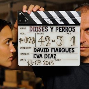 Foto Dioses y perros