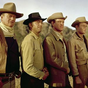 Foto Los cuatro hijos de Katie Elder