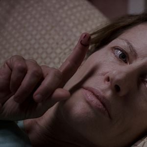 Foto Los insólitos peces gato